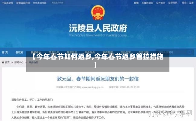 【今年春节如何返乡,今年春节返乡管控措施】-第2张图片