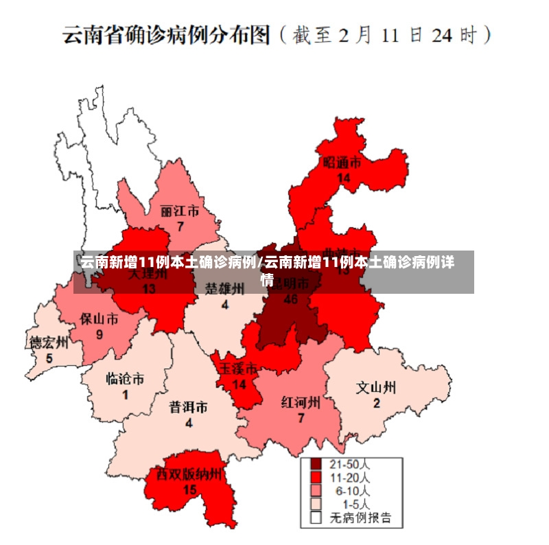 云南新增11例本土确诊病例/云南新增11例本土确诊病例详情-第2张图片