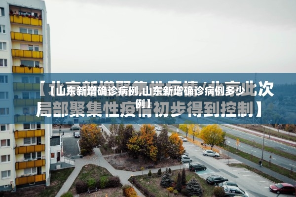【山东新增确诊病例,山东新增确诊病例多少例】