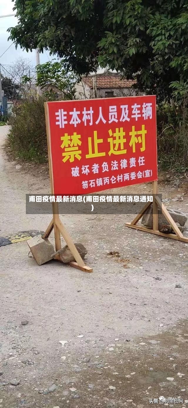 甫田疫情最新消息(甫田疫情最新消息通知)