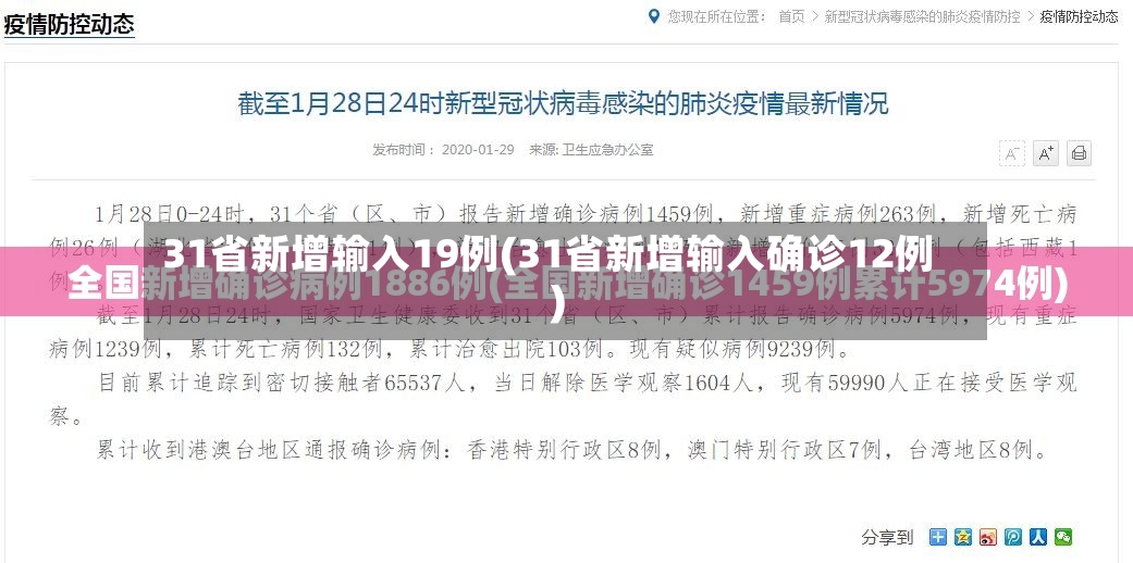 31省新增输入19例(31省新增输入确诊12例)