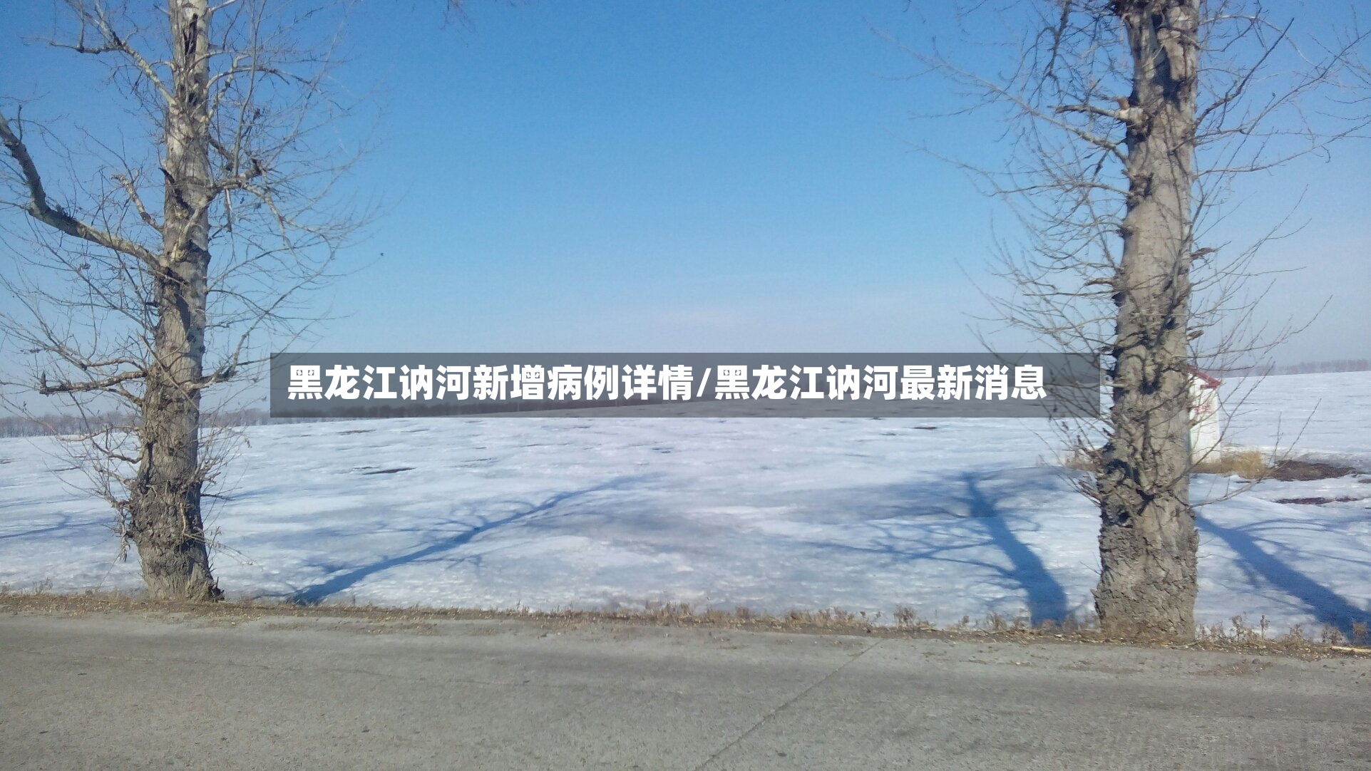 黑龙江讷河新增病例详情/黑龙江讷河最新消息