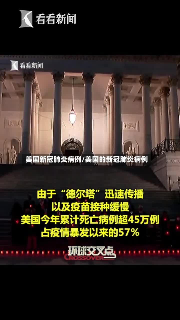 美国新冠肺炎病例/美国的新冠肺炎病例