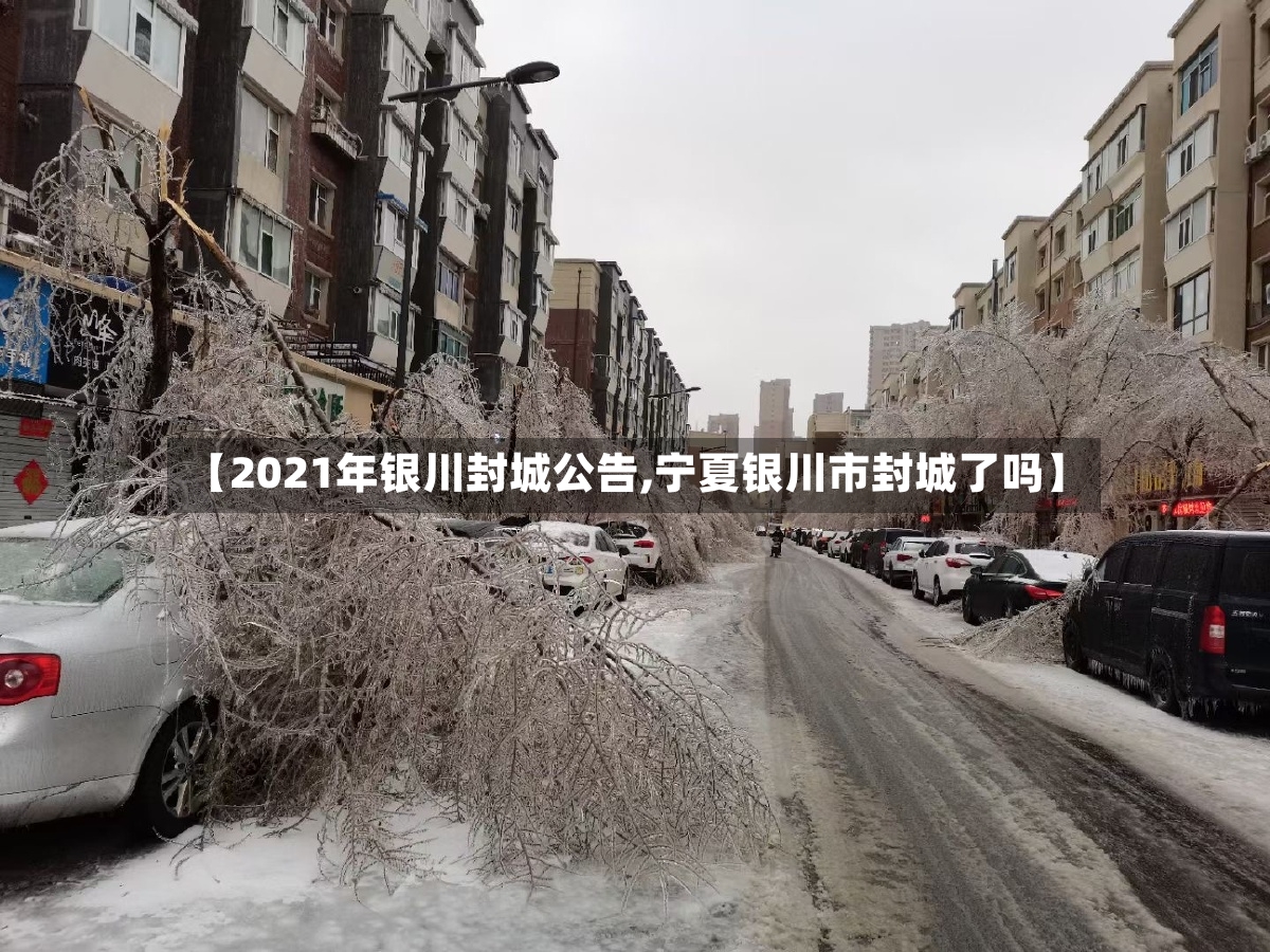 【2021年银川封城公告,宁夏银川市封城了吗】-第2张图片