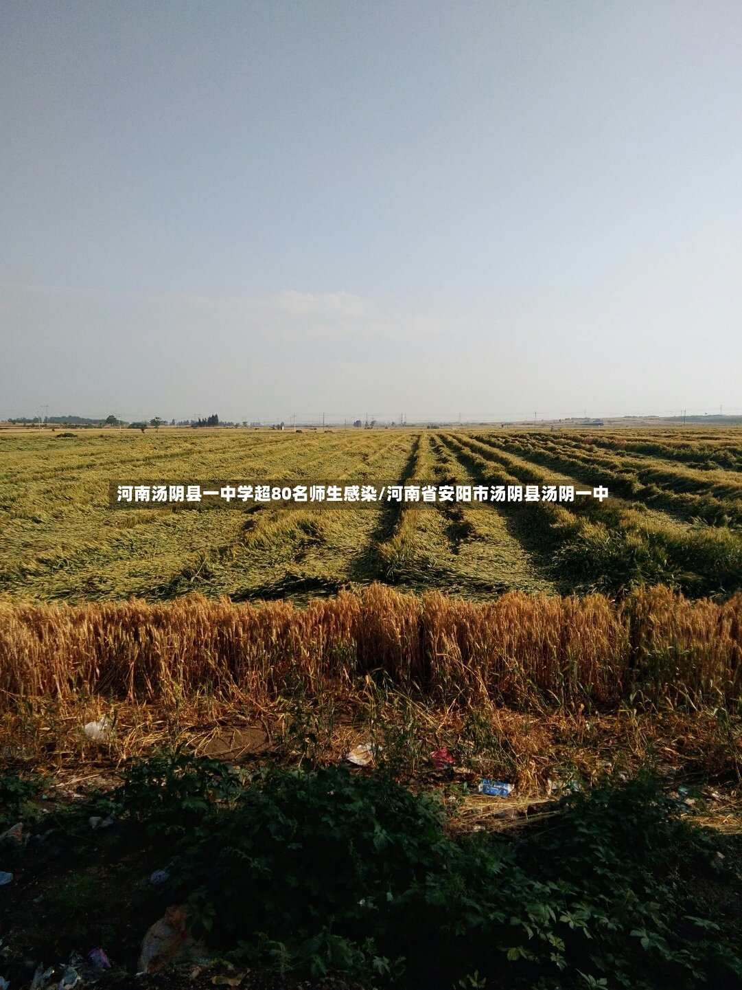 河南汤阴县一中学超80名师生感染/河南省安阳市汤阴县汤阴一中-第2张图片
