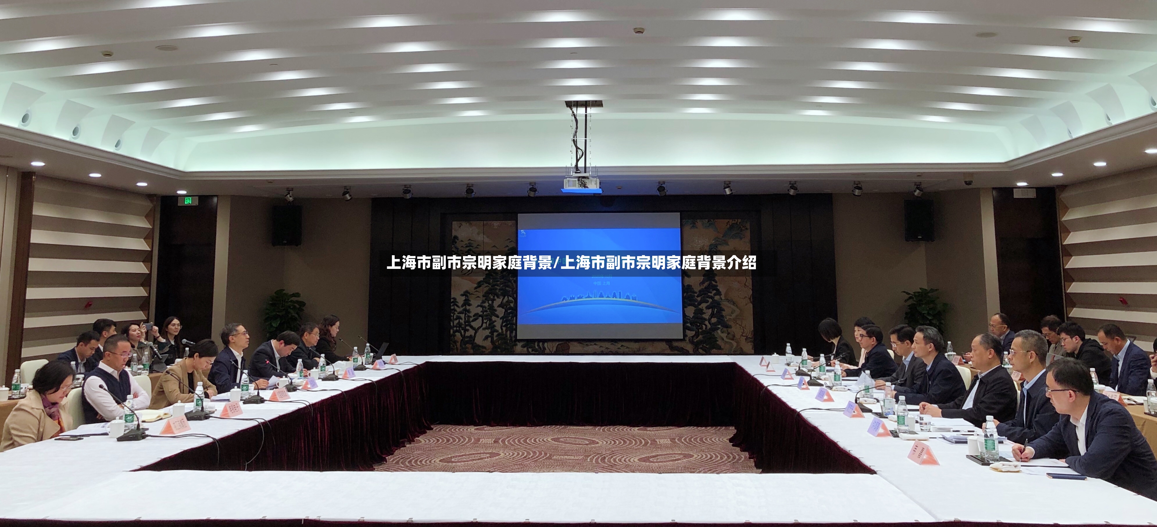 上海市副市宗明家庭背景/上海市副市宗明家庭背景介绍