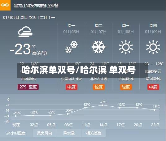 哈尔滨单双号/哈尔滨 单双号-第3张图片