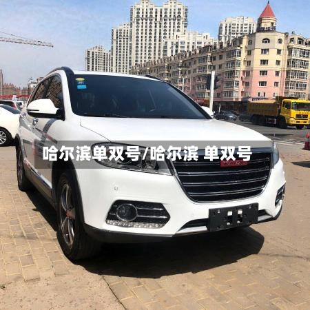 哈尔滨单双号/哈尔滨 单双号