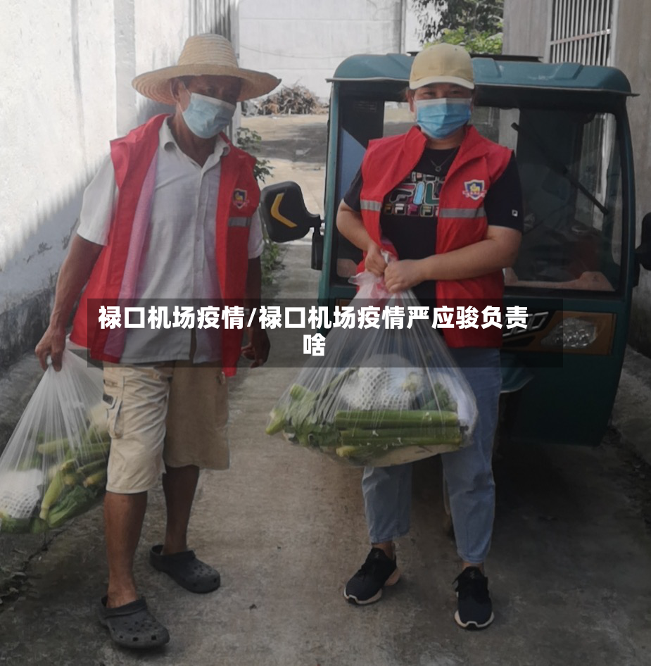 禄口机场疫情/禄口机场疫情严应骏负责啥-第2张图片