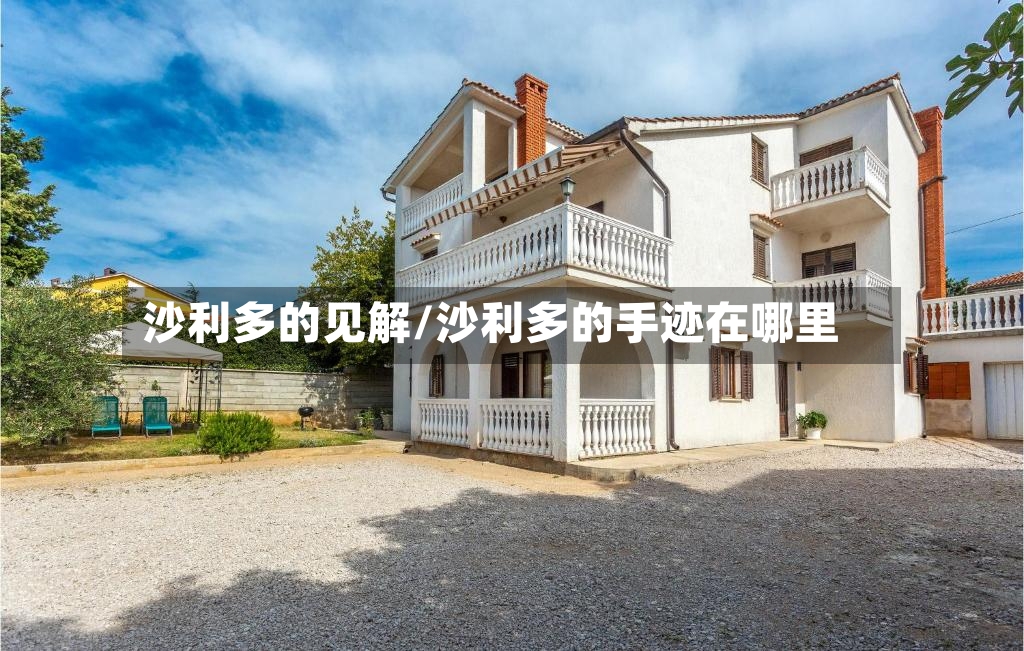沙利多的见解/沙利多的手迹在哪里