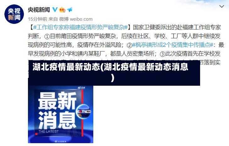 湖北疫情最新动态(湖北疫情最新动态消息)-第2张图片