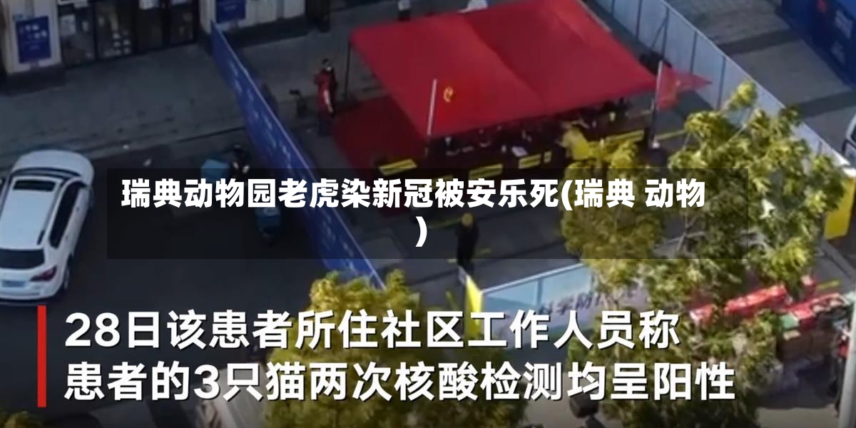 瑞典动物园老虎染新冠被安乐死(瑞典 动物)-第3张图片