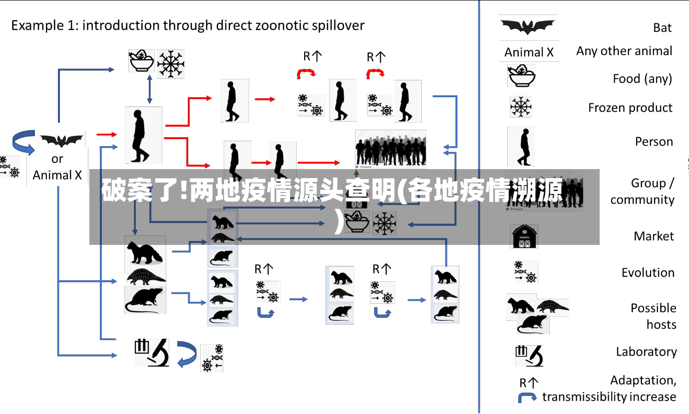 破案了!两地疫情源头查明(各地疫情溯源)