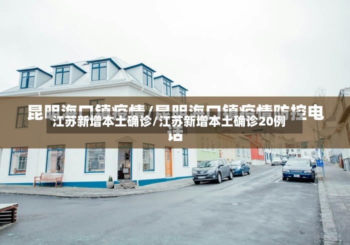 江苏新增本土确诊/江苏新增本土确诊20例