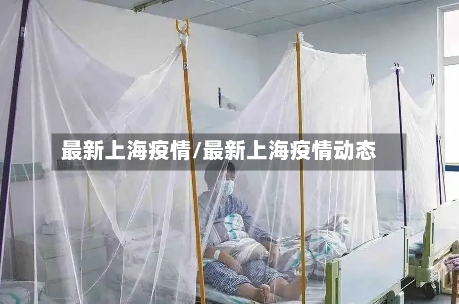 最新上海疫情/最新上海疫情动态-第2张图片
