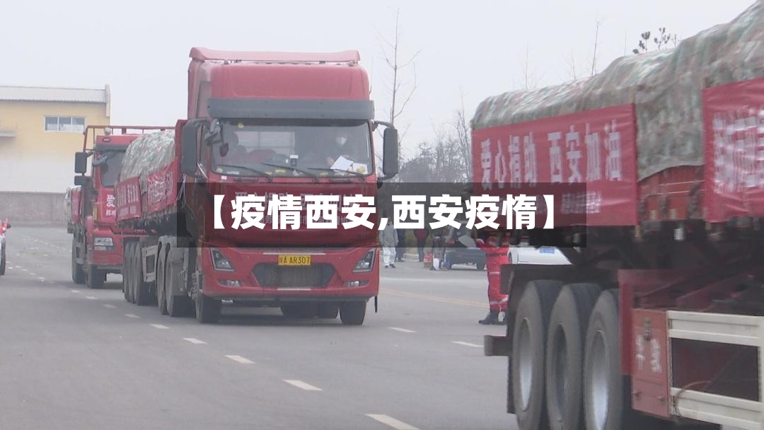 【疫情西安,西安疫惰】