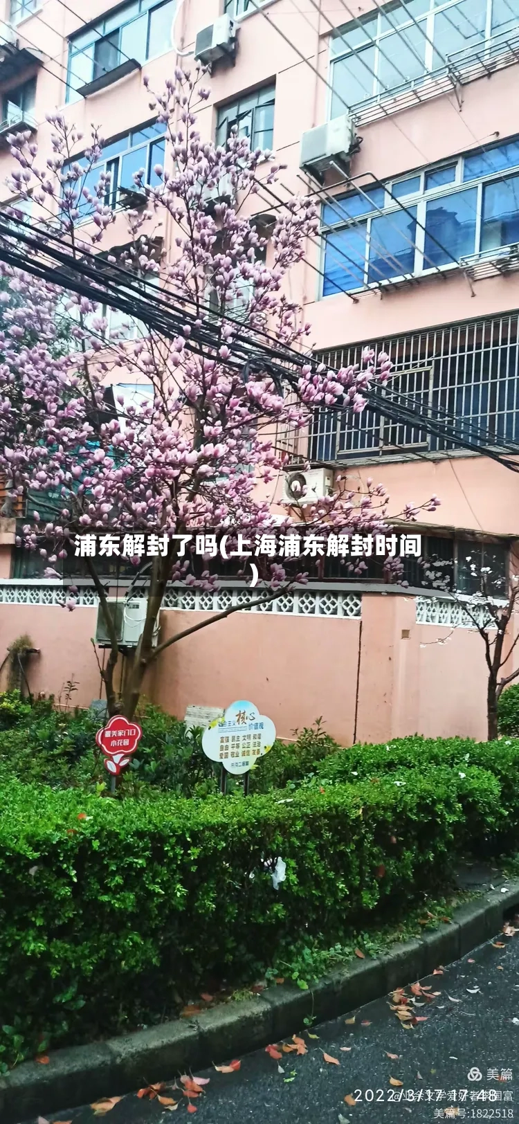 浦东解封了吗(上海浦东解封时间)