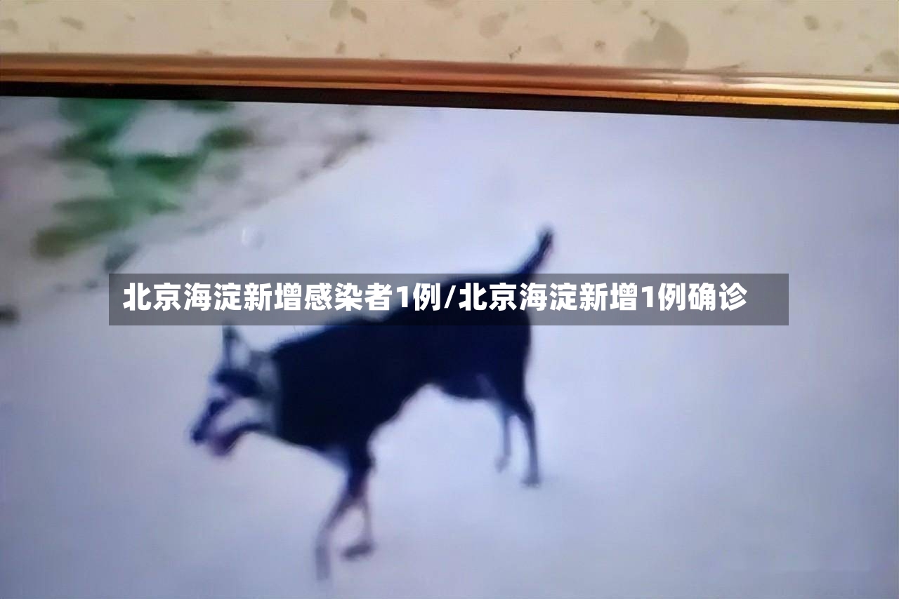 北京海淀新增感染者1例/北京海淀新增1例确诊