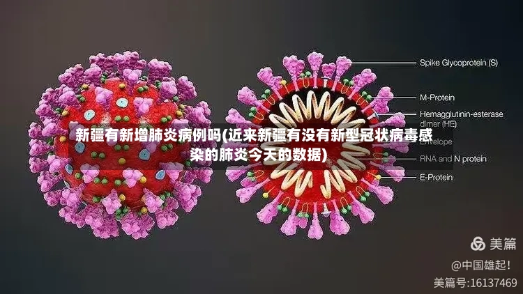 新疆有新增肺炎病例吗(近来新疆有没有新型冠状病毒感染的肺炎今天的数据)-第2张图片