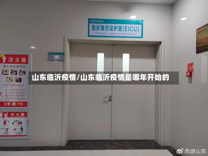 山东临沂疫情/山东临沂疫情是哪年开始的-第2张图片