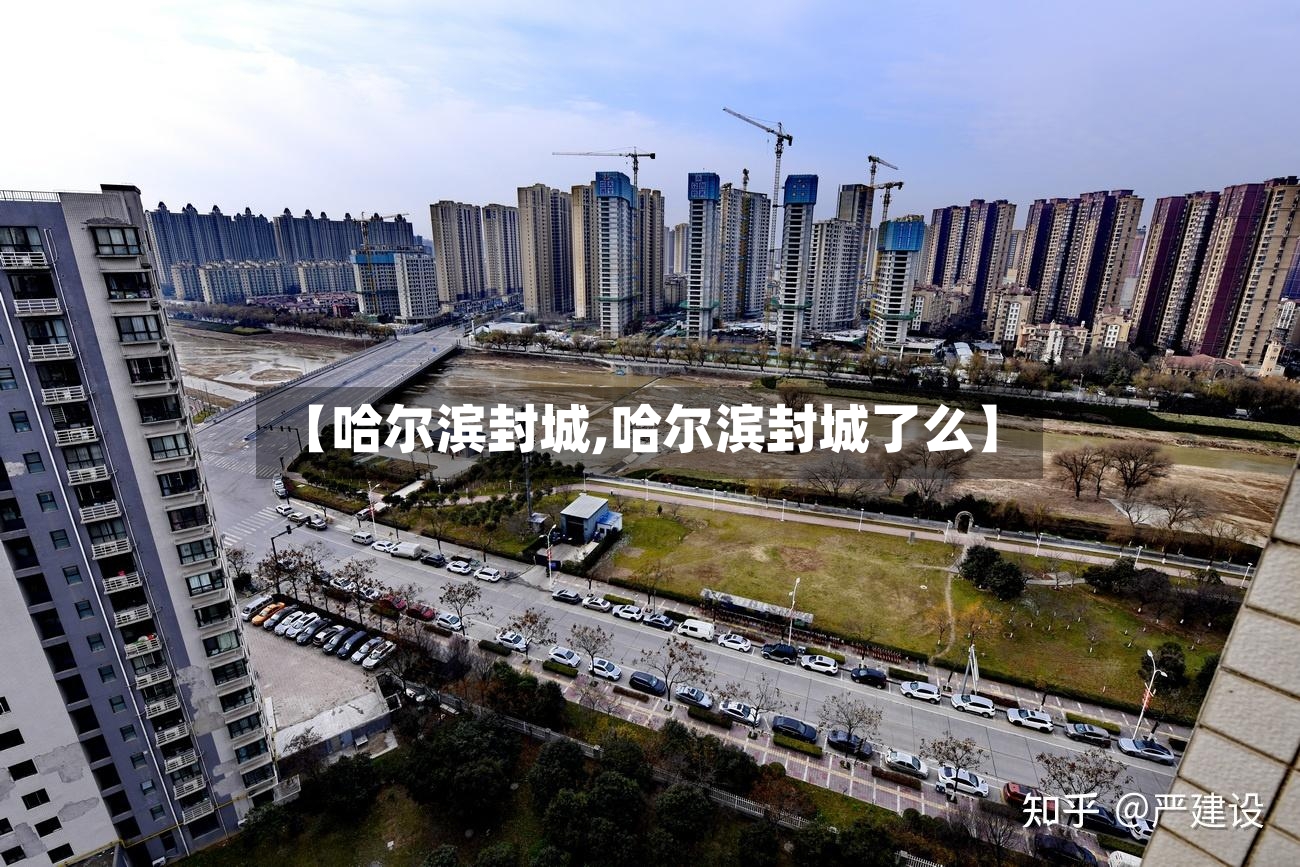 【哈尔滨封城,哈尔滨封城了么】