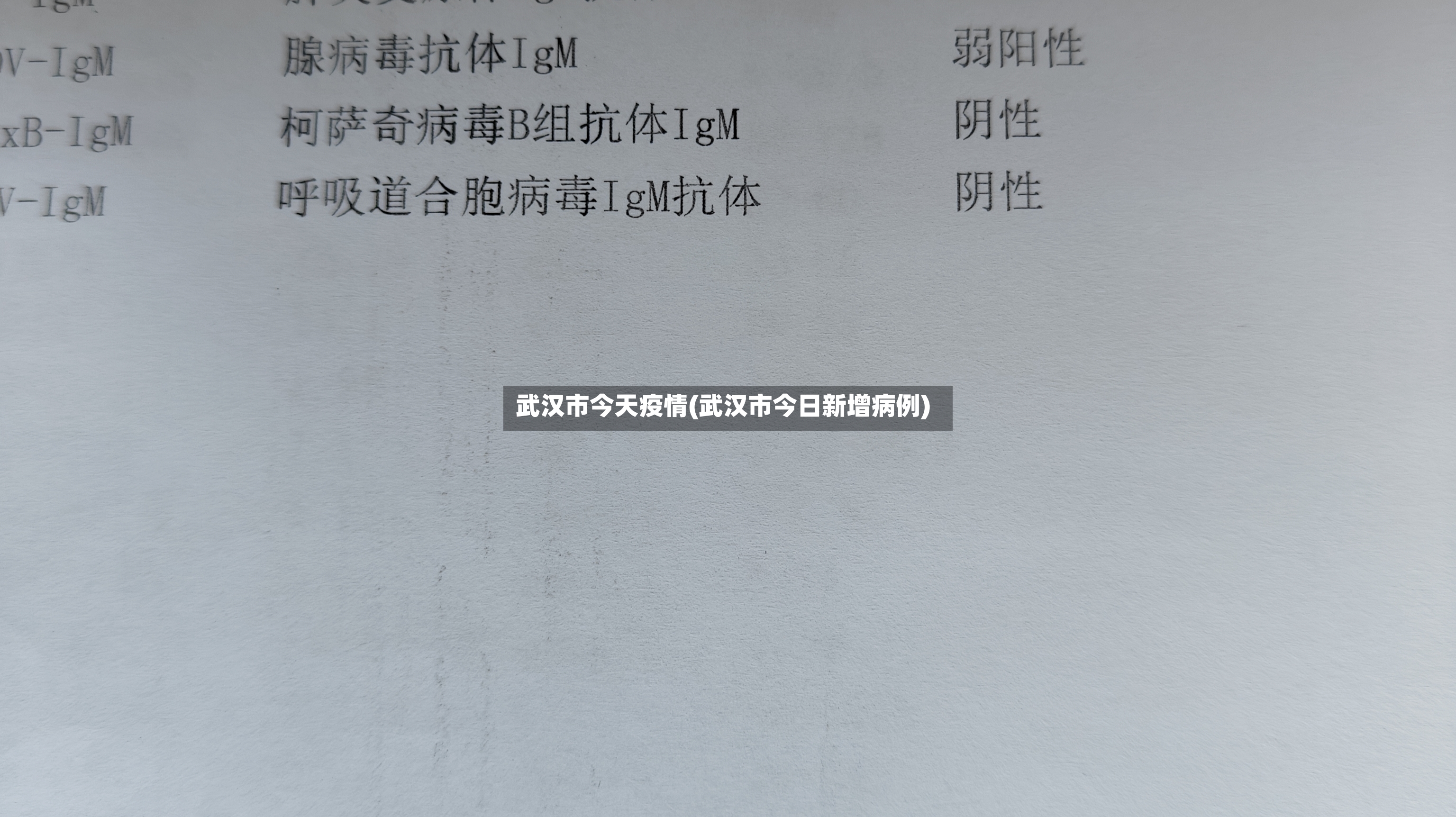 武汉市今天疫情(武汉市今日新增病例)-第2张图片