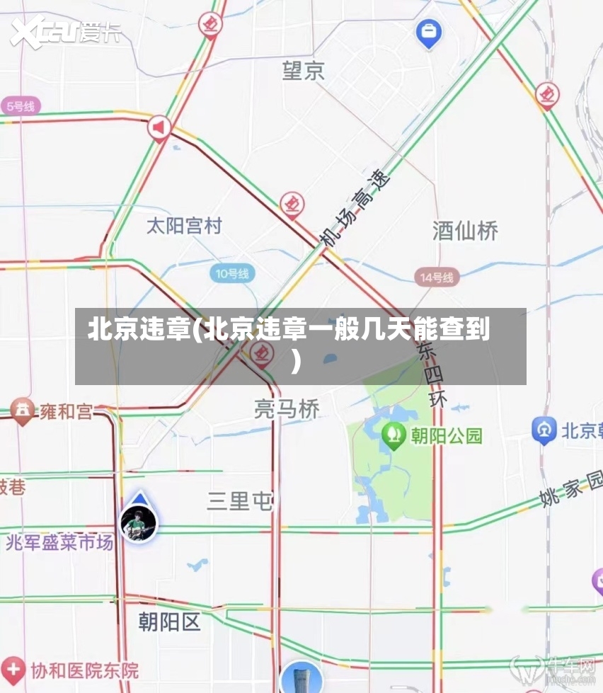 北京违章(北京违章一般几天能查到)
