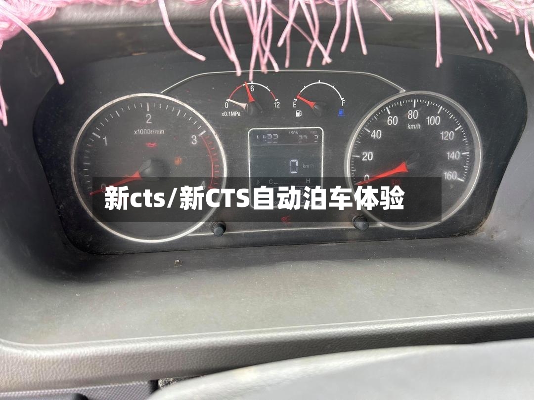 新cts/新CTS自动泊车体验-第2张图片