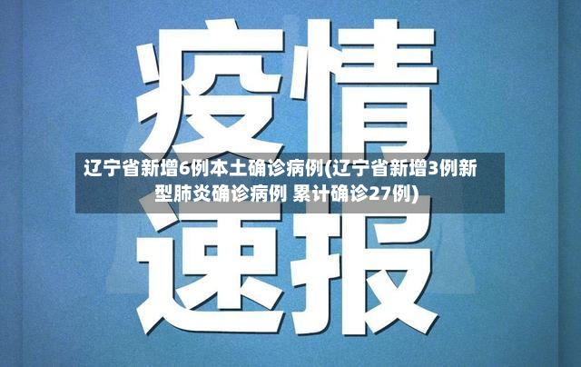 辽宁省新增6例本土确诊病例(辽宁省新增3例新型肺炎确诊病例 累计确诊27例)