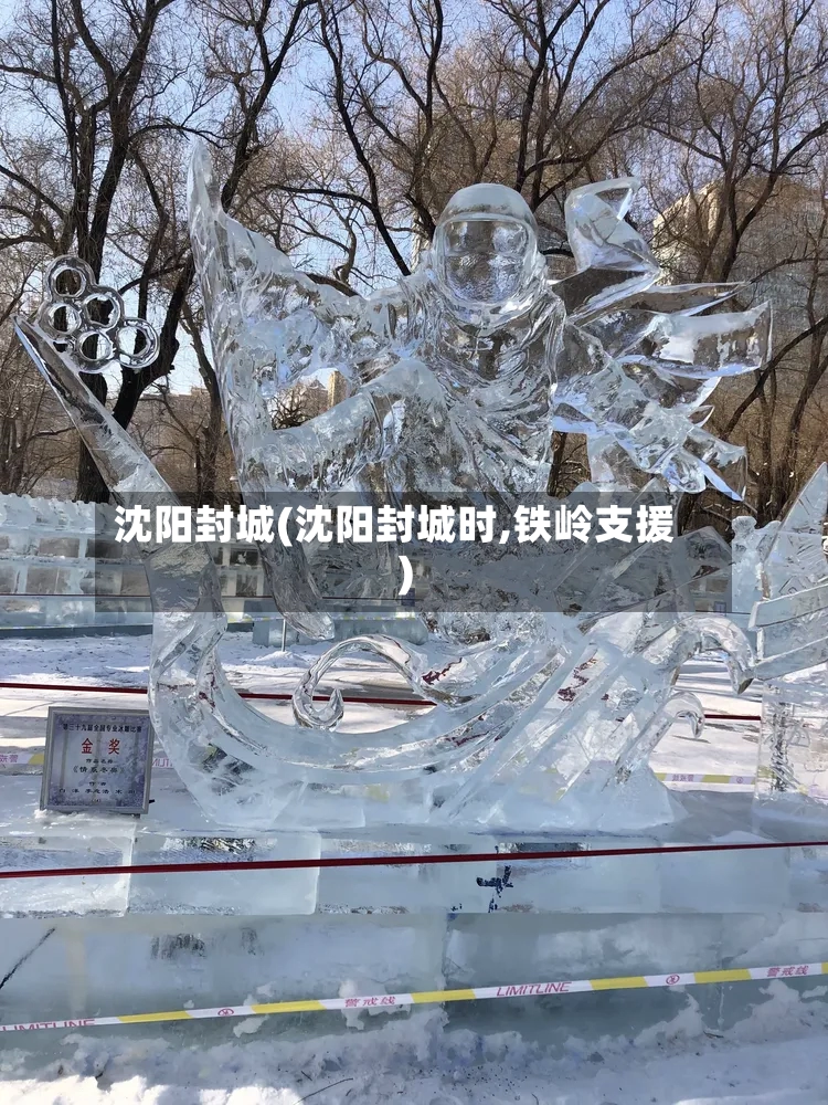 沈阳封城(沈阳封城时,铁岭支援)-第2张图片