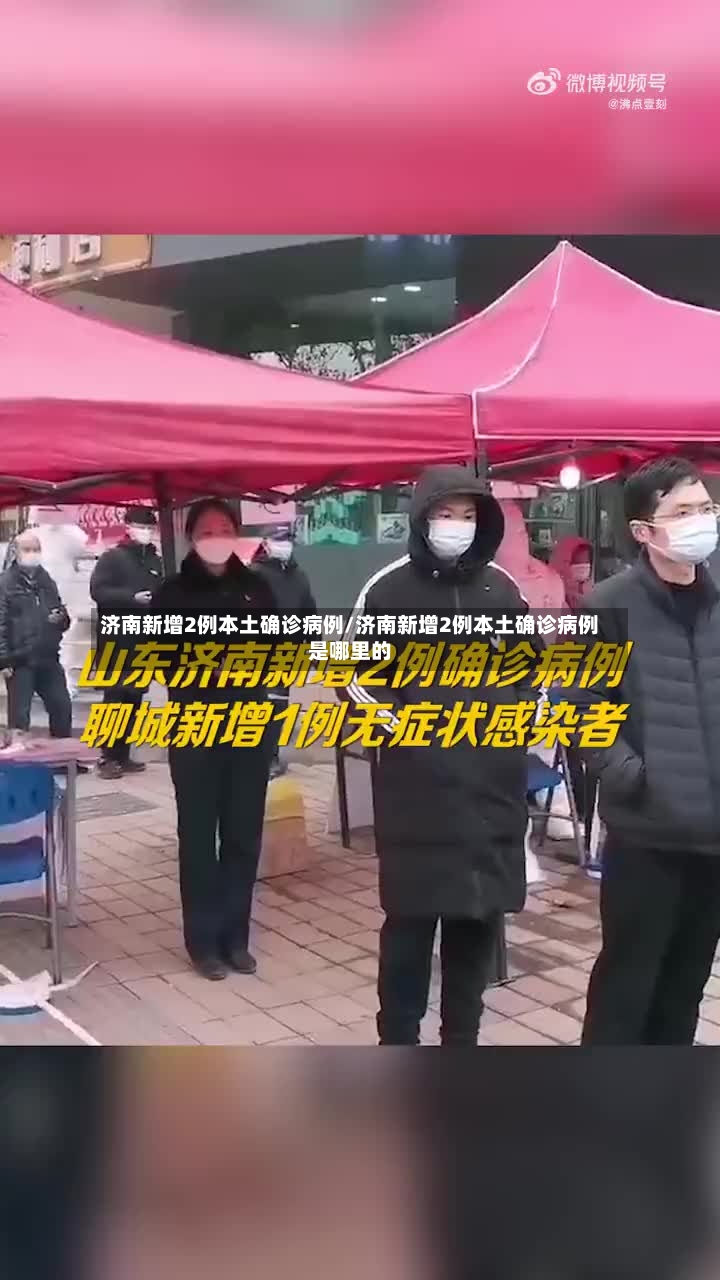 济南新增2例本土确诊病例/济南新增2例本土确诊病例是哪里的-第3张图片