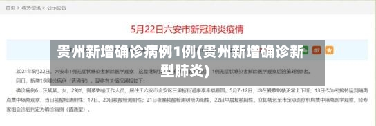 贵州新增确诊病例1例(贵州新增确诊新型肺炎)