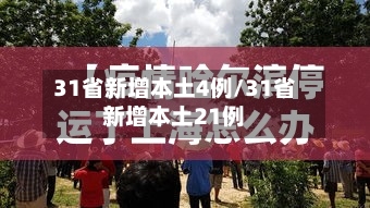 31省新增本土4例/31省新增本土21例