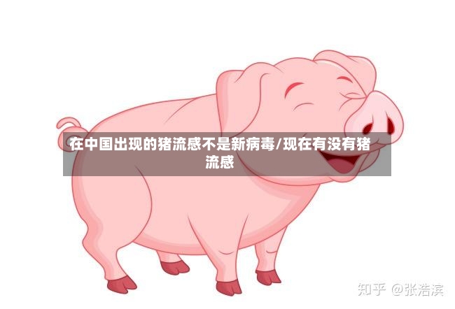 在中国出现的猪流感不是新病毒/现在有没有猪流感