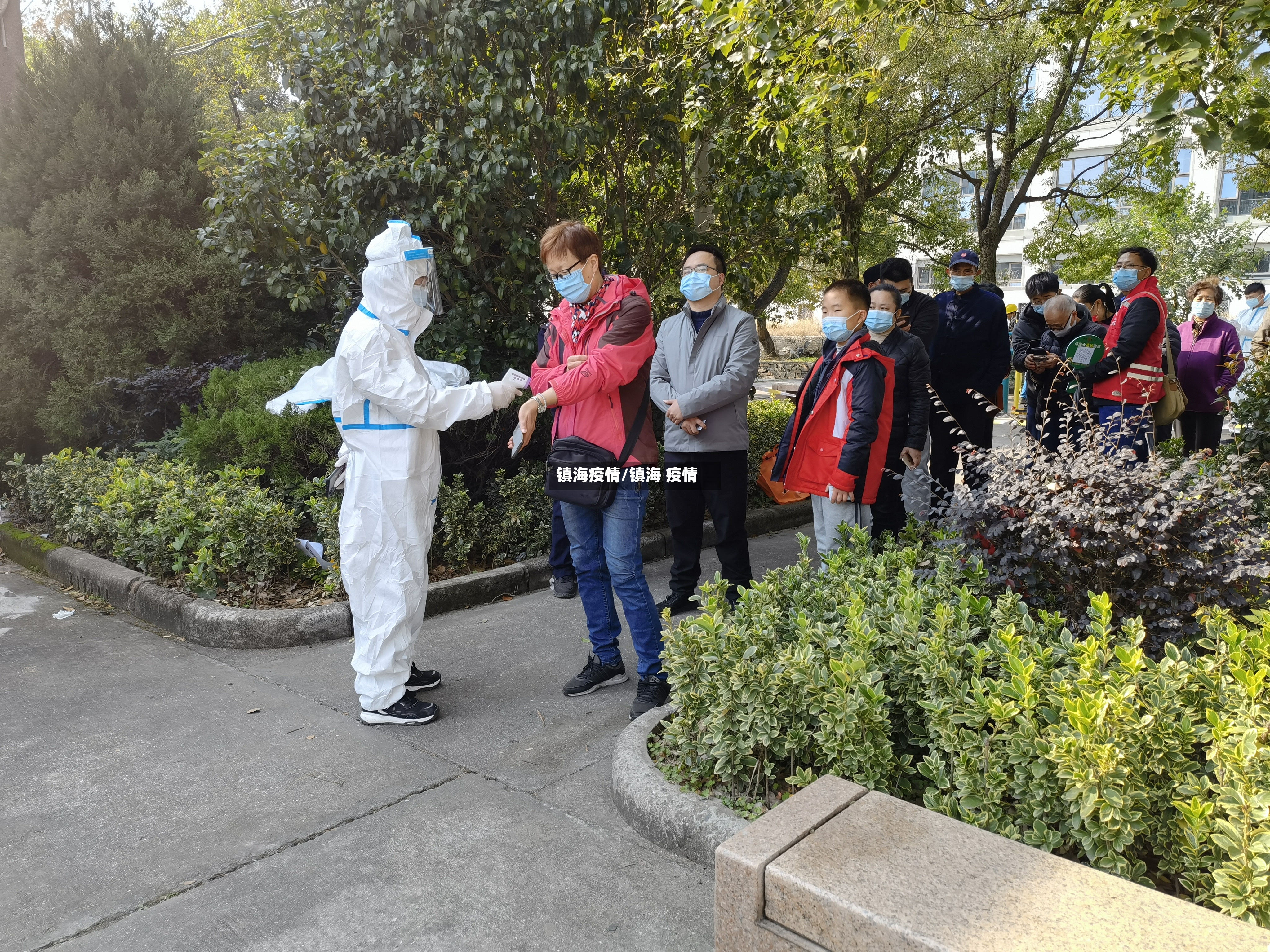 镇海疫情/镇海 疫情-第2张图片