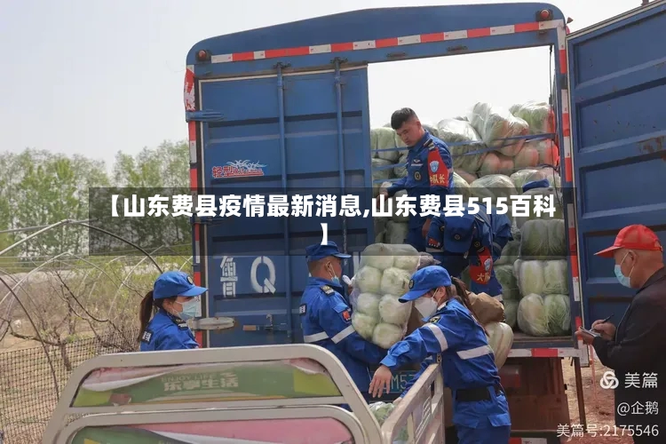 【山东费县疫情最新消息,山东费县515百科】-第2张图片
