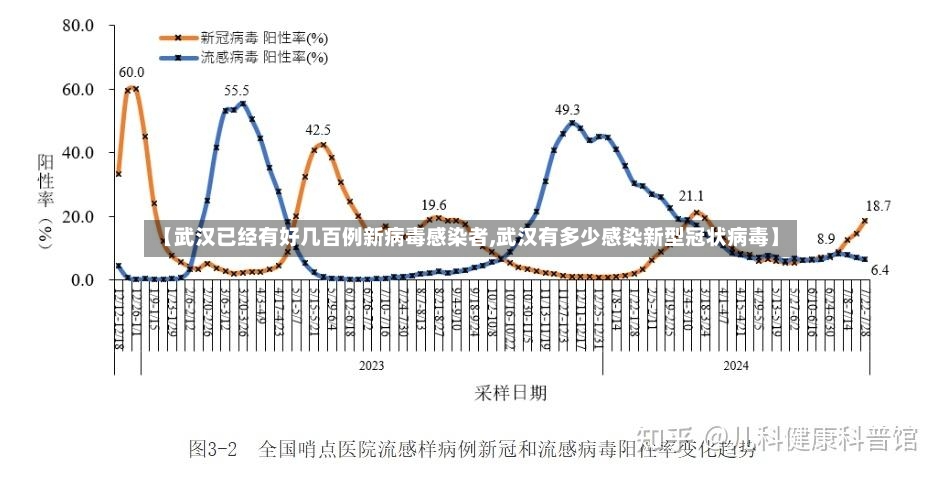 【武汉已经有好几百例新病毒感染者,武汉有多少感染新型冠状病毒】