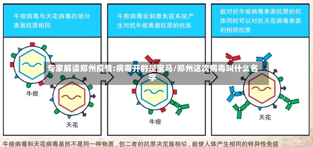 专家解读郑州疫情:病毒开的是宝马/郑州这次病毒叫什么名字